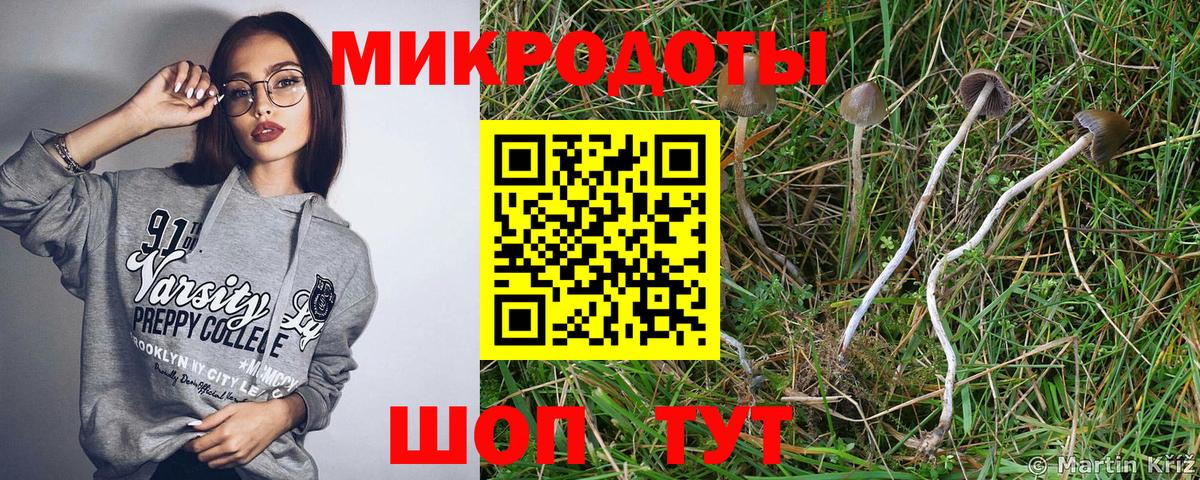 Псилоцибиновые грибы ЛСД  Вход с VPN  хочу   Галлюциногенные грибы GOLDEN TEACHER  Шадринск 