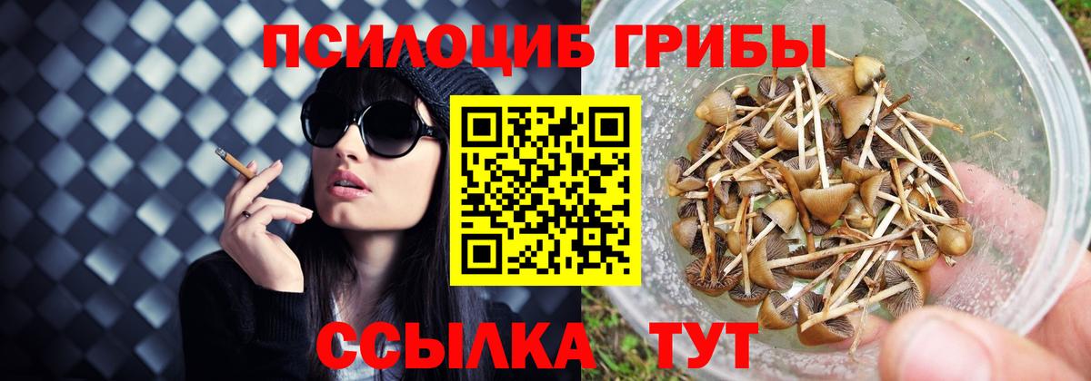 Экстази  Гашиш  Шадринск  MDMA  Вход с VPN  Сколько стоит  Мефедрон кристаллы  Alpha PVP СОЛЬ   Кокаин 